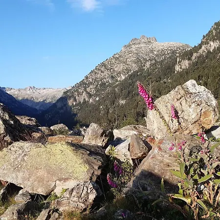 Apartamento Cosy 17m², Proche Telecabine, 2/4 Pers, Parking - Fr-1-234-351 Cauterets